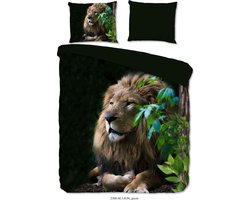 Dekbedovertrek - 240x220cm - Tweepersoons - Lits Jumeaux - Inclusief Kussenslopen - 100% Zacht Microfiber - Groen