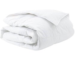 Dekentjes & Dekbedden Wit 200 x 200 cm | Beddengoed Dons