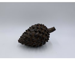 Dennenappel decoratie beeld bruin zwart liggend Maat L 20 x 12 cm polysteen | 121307 | Home Sweet Home | Stoer & Sober Woonstijl