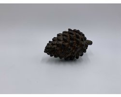 Dennenappel decoratie beeld bruin zwart liggend Maat M 15 x 8 cm polysteen | 121306 790033 | Home Sweet Home | Stoer & Sober Woonstijl