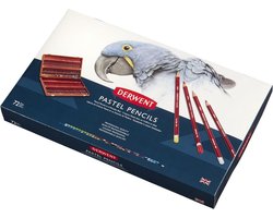 Derwent Pastelpotloden in Houten Kist  - Set van 72 Potloden - Assorti