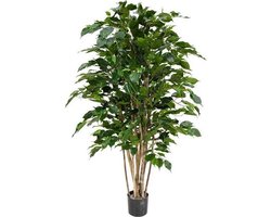 Designplants Ficus Exotica Kunstplant 125