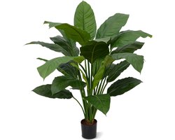 Designplants Spathiphyllum King Kunstplant 100