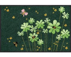 Deurmat 50x75 cm - Wasbare Deurmat - Antislip - Onderhoudsarm - Geschikt voor Binnen/Buiten - Stofbindend Design - Vloermat