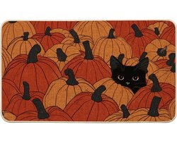 Deurmat - Entree mat - 60x40 cm - Tapijt - Antislipmat - Absorberende mat - Mat met zwarte kat - Deurmat met pompoen-herfstthema - Woondecoratie - Feestelijke decoraties - voor hallen, woonkamers, slaapkamers, keukens en badkamers