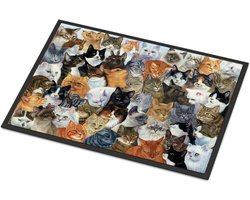 Deurmat Kattenprint - Vloermat Tapijt - Entree Reinigen - Binnen Buiten Gebruik - 45.7 x 68.6 cm - Veelkleurig