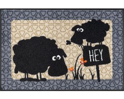 Deurmat voor binnen en buiten, 50 x 75 cm, stijlvolle buitenmat met hoge vuilopname, geschikt voor pvc, laminaat, hout en linoleum vloeren