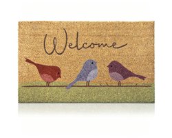 Deurmat –XS - 40 × 60 × 0,8 cm - Antislipmat – Kleurrijke vogels – Deurmat – Antislipdeurmat – Antislipmat - Tapijt – Zacht – Comfortabel – Antislip – Geschikt voor entrees, gangen en veranda’s , Woonaccessoire