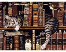 Diamond painting - Slapende kat in boekenkast - Vierkante steentjes