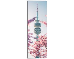 Dibond - Gebouw - Euromast - Bomen - Bloesem - 30x90 cm Foto op Aluminium (Wanddecoratie van metaal)