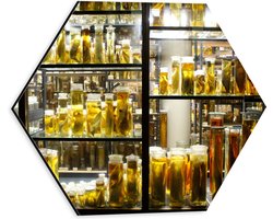 Dibond Hexagon - Kast met Dieren op Sterk Water - 30x26.1 cm Foto op Hexagon (Met Ophangsysteem)