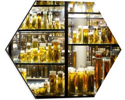 Dibond Hexagon - Kast met Dieren op Sterk Water - 40x34.8 cm Foto op Hexagon (Met Ophangsysteem)