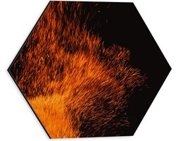 Dibond Hexagon - Oranje Spetters van Vuurkorf - 30x26.1 cm Foto op Hexagon (Met Ophangsysteem)