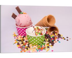 Dibond - IJshoorn met Bakjes IJs - 90x60cm Foto op Aluminium (Wanddecoratie van metaal)