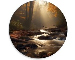 Dibond Muurcirkel - Bossen - Water - Stenen - Takken - Bladeren - Boomstronk - Bomen - 30x30 cm Foto op Aluminium Muurcirkel (met ophangsysteem)