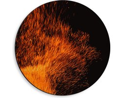 Dibond Muurcirkel - Oranje Spetters van Vuurkorf - 40x40 cm Foto op Aluminium Muurcirkel (met ophangsysteem)