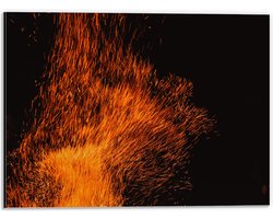 Dibond - Oranje Spetters van Vuurkorf - 40x30 cm Foto op Aluminium (Wanddecoratie van metaal)