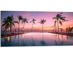 Dibond - Palmbomen bij Ligbedden aan het Water tijdens de Avondzon - 100x50 cm Foto op Aluminium (Wanddecoratie van metaal)