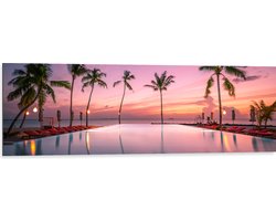 Dibond - Palmbomen bij Ligbedden aan het Water tijdens de Avondzon - 120x40 cm Foto op Aluminium (Met Ophangsysteem)