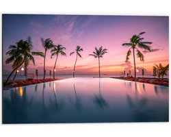 Dibond - Palmbomen bij Ligbedden aan het Water tijdens de Avondzon - 60x40 cm Foto op Aluminium (Wanddecoratie van metaal)