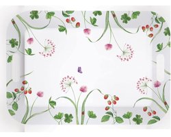 Dienblad van melamine - 53 x 38 cm - voor gebruik buitenshuis