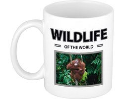 Dieren foto mok Orang oetan aap - 300 ml - wildlife of the world - cadeau beker / mok Orang oetans liefhebber