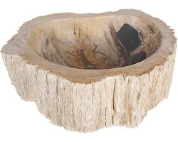 Differnz Fossil waskom 45x12cm hout CrÃ©me