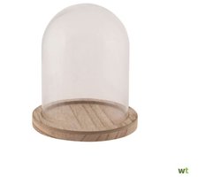 Dijk Natural Collections Glazen Stolp met Houten Voet – Ø12,5 x 17 cm – Transparant