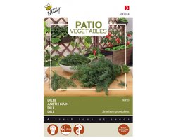 Dille (Anethum graveolens) - Nano - Buzzy Patio Vegetables - Moestuin