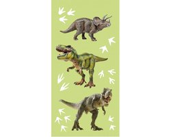 Dino Strandlaken - 70 x 140 cm