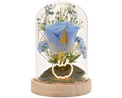 Disney Princess ‘Cinderella’ Stolp met Led