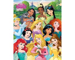 Disney Princess Prinsessen Poster 40x50cm