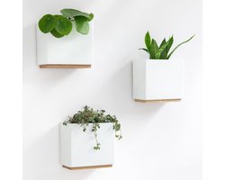 DiverseGoods Hangende Plantenbakken - Set van 3 Moderne Hangende Plantenpotten van Hars - Ideaal voor Kamerplanten, Kunstplanten en Meer - Witte Plantenhouderset voor Wanddecoratie