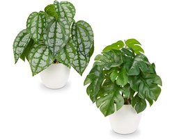 DiverseGoods Set van 2 kunstplanten in pot, 28 cm, voor woondecoratie, kunstkamerplant, bloemstukken, thuis- en kantoordecoratie, desktop, bonsai, kunstplanten met potten, tafeldecoratie, huis, balkon, kantoor