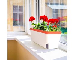 DiverseGoods Zelfbewaterende plantenpotten, set van 3 10,5 inch rechthoekige vensterbank kruidenplantenbak, moderne plastic bloempotten voor binnen buiten tuin kantoor terras, plantenbakken met afvoergat verborgen bak