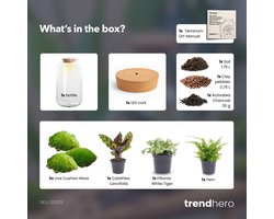 DIY terrarium - Botanical Sven XL - ↑ 43 cm