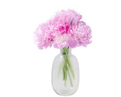 DK Design Bloemenvaas Mira - fles vaas model - transparant glas - 21 x 37 cm - boeketvazen