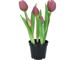 DK Design Kunst tulpen Holland in pot - 5x stuks - aubergine paars - real touch - 26 cm - levensechte kunstbloemen