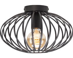 DMQ Plafondlamp Lira - Zwart Industrieel - 30 cm - Metaal - E27