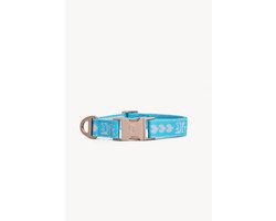 Dogguo Collar Blauw&Zilver - Hondenhalsband - Kleinste Honden