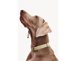 Dogguo Collar Groen&Pink - Hondenhalsband - Grote Honden
