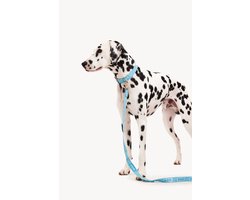 Dogguo Leash - Hondenriem - 23 cm Blauw Zilver Voor Kleine Honden