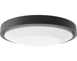 Donker grijze plafondlamp voor buiten 20W - Samuel