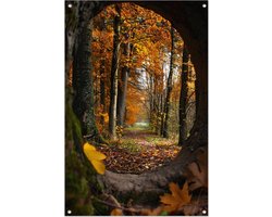 Doorkijk tuinposters - Bomen posters - Natuur - Buiten poster - Versiering - Tuinaccessoires - Decoratie muur - Tuinposter 70x105 cm