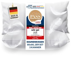 DormiGood - Premium donskussen 80 x 80 cm 100% natuurlijk Set van 2 - 3 compartimenten hoofdkussen 80x80 1080g extra zacht - Hoogwaardig inlegwerk van katoen