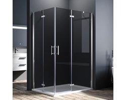 Douchecabine Hoekinstap - Douchewand Pendeldeuren - Ontspannen Douchen - Randloos Ontwerp - 80x120x195 cm - Zilver