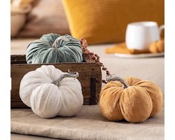 Dream-Living Set van 3 decoratieve pompoenen - herfstdecoratie