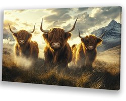 Drie imposante Schotse hooglanders - Schotse hooglander wanddecoratie - Canvas hooglanders - Hyperrealisme - Decoratie voor thuis - Decoratie muur - canvas 150x100 cm