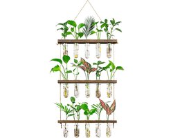 Drie-laags Muur Bloemenvazen met Houten Standaard - Ideaal voor Hydrocultuur - 1 stuk - Glazen