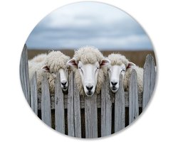 Drie nieuwsgierige schapen bij hek - Schapen muurdecoratie rond - Wandschaal dieren - Hyperrealisme - Industriële muurcirkel aluminium - Decoratie slaapkamer - muurcirkel aluminium 60x60 cm